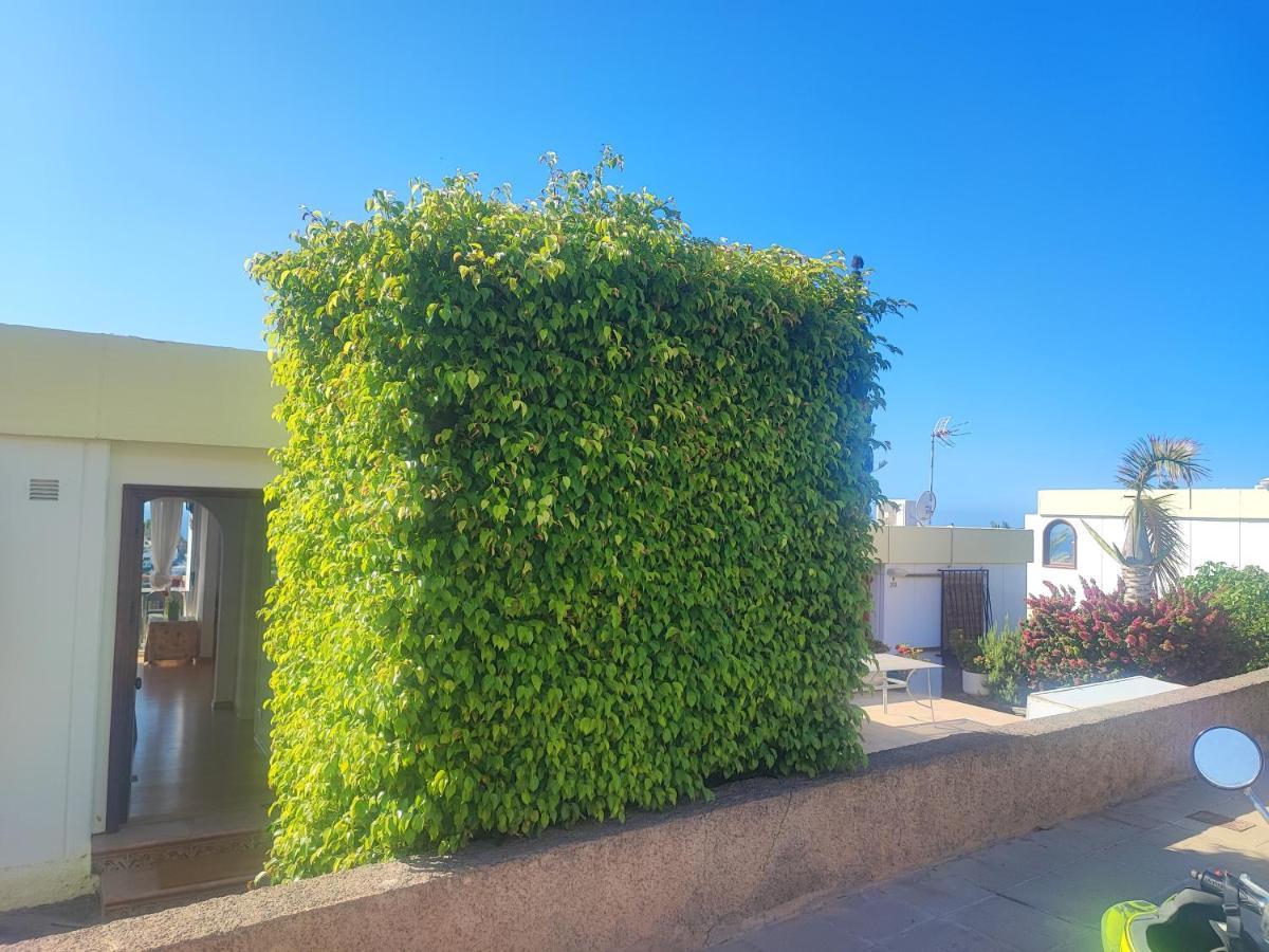 Casa Panorama 314 San Agustin Maspalomas Εξωτερικό φωτογραφία